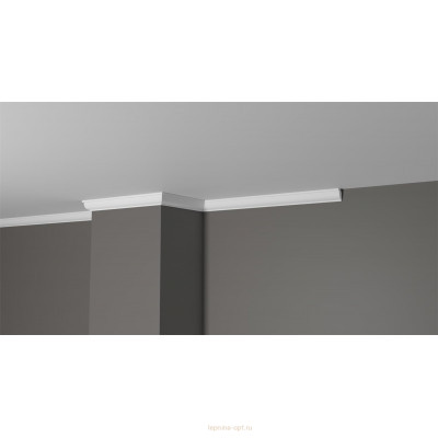 Карниз Decor Dizayn DD09