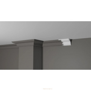 Карниз Decor Dizayn DD05